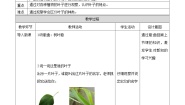 科学一年级上册4.这是谁的叶教案