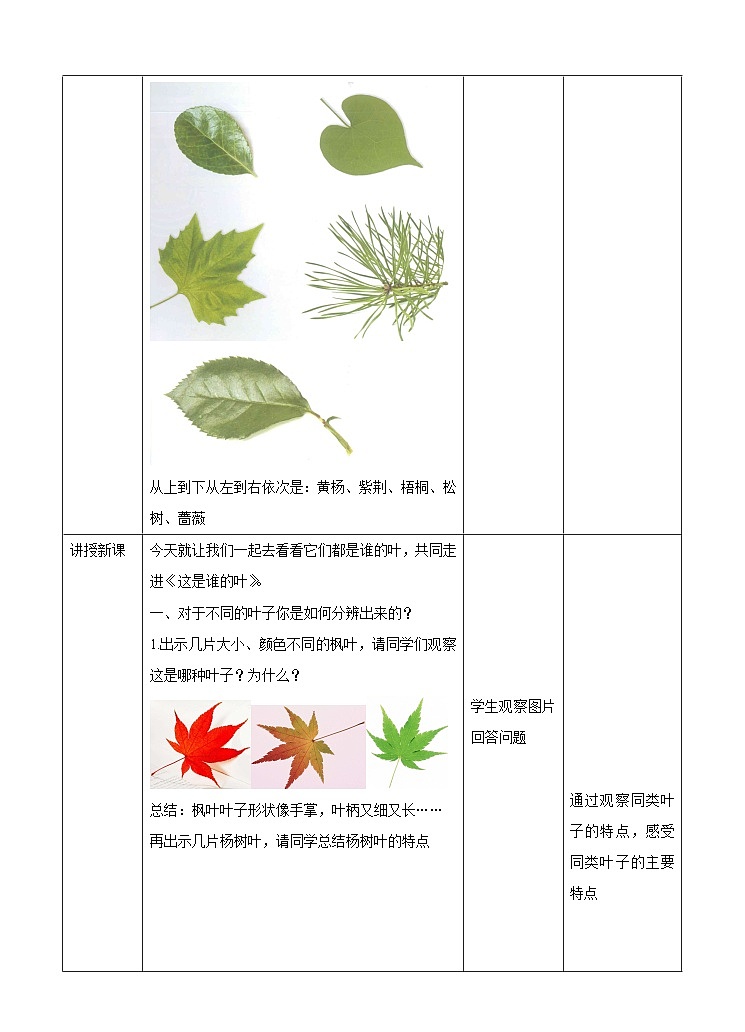 教科版一上第一单元第四课《这是谁的叶》(教案)第2页