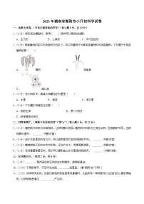 湖南省衡阳市2023届小升初科学试卷