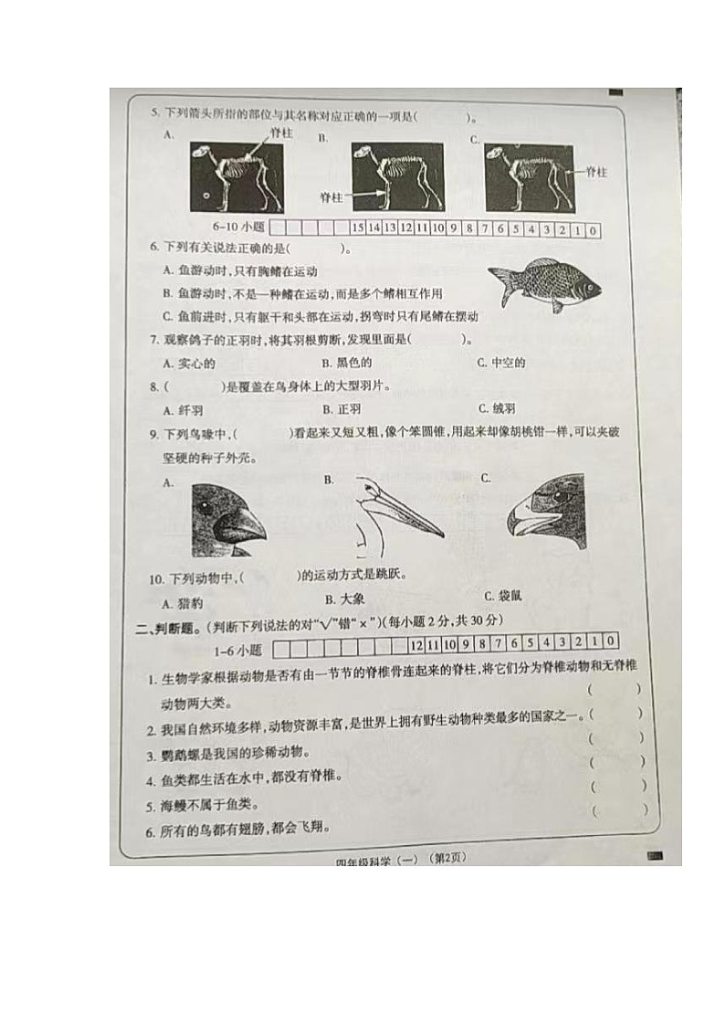 山西省大同市左云县2023-2024学年四年级上学期课堂观测(一)(10月联考)科学试卷第2页