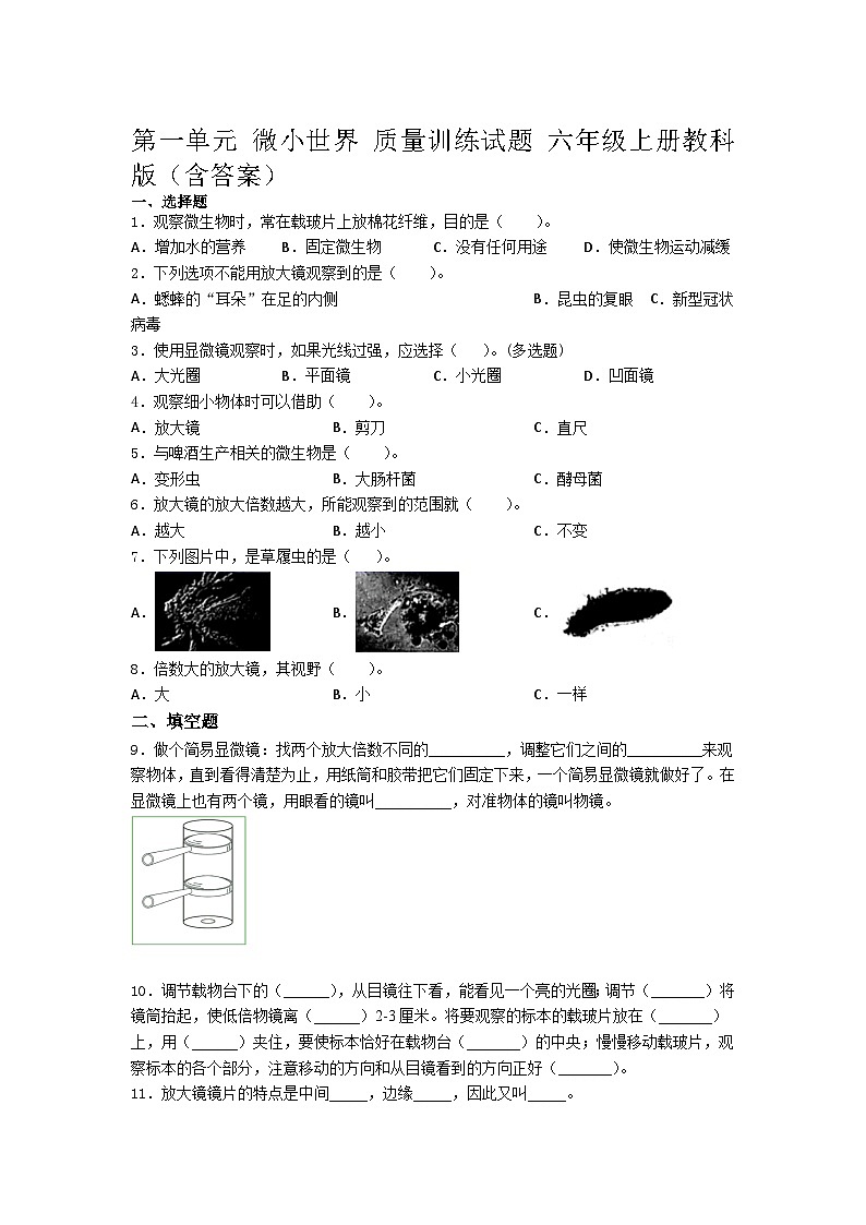 教科版科学六年级上册 第一单元微小世界单元测试卷(含答案)01