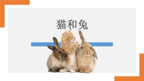 人教版一年级上册科学5猫和兔课件