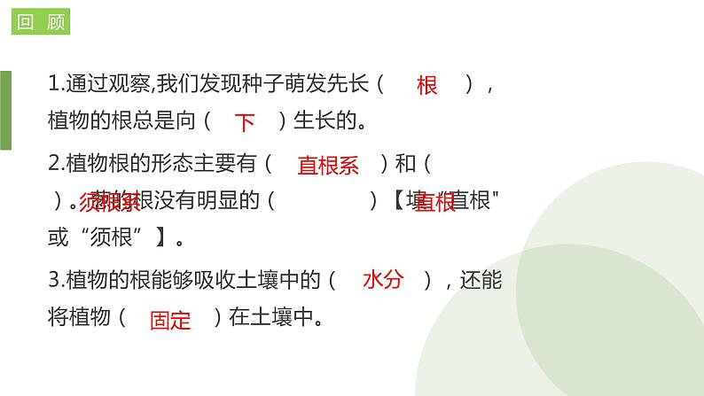四年级教科版下册科学1.4茎和叶教学课件第1页