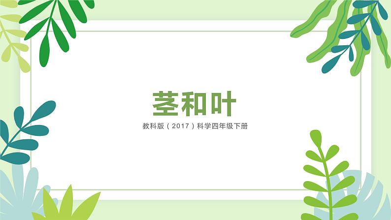 四年级教科版下册科学1.4茎和叶教学课件第2页