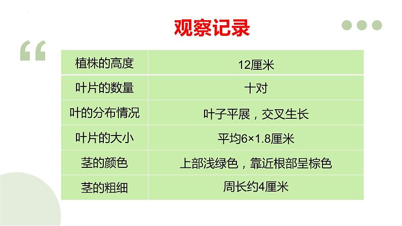 四年级教科版下册科学1.4茎和叶教学课件第5页