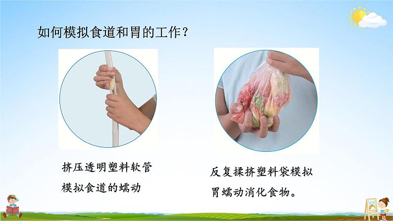 教科版小学四年级科学上册《2 呼吸与消化 第8课 食物在身体里的旅行》课堂教学课件PPT公开课第8页