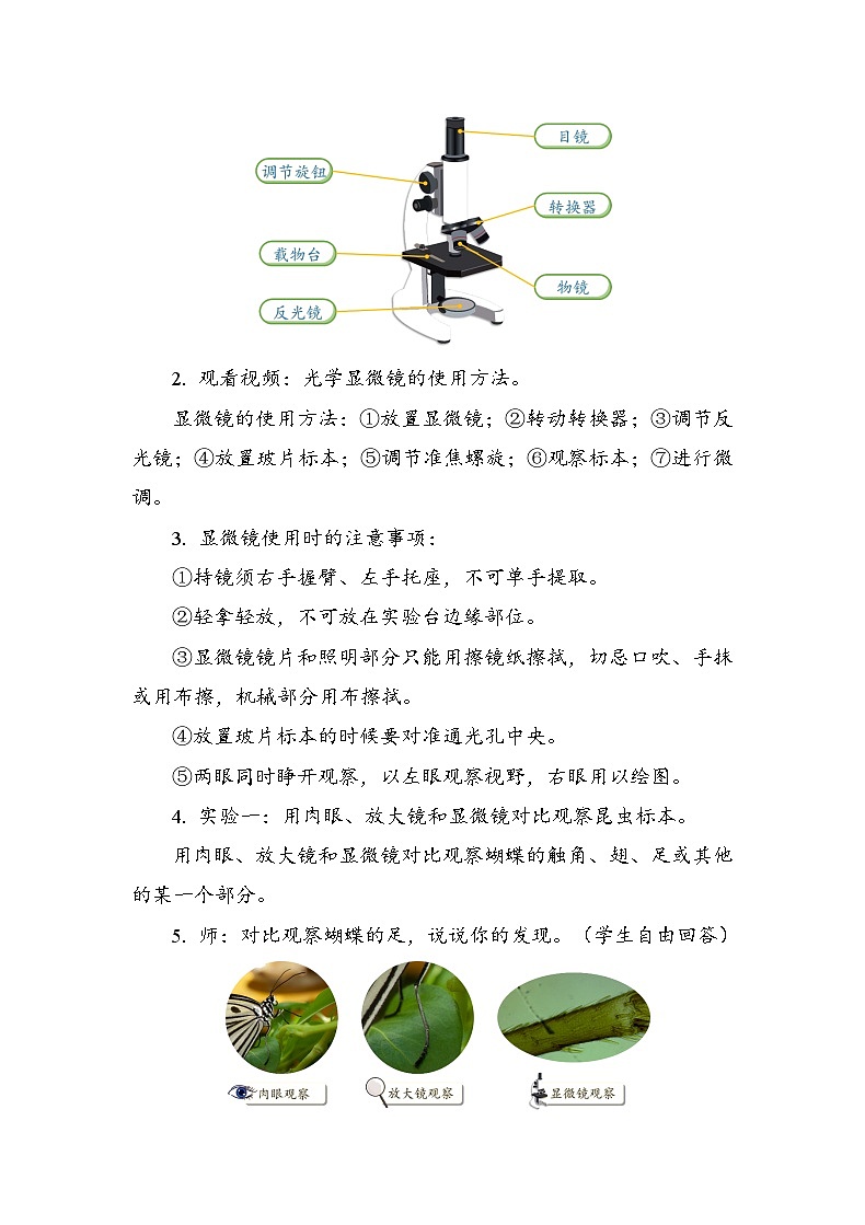 六年级上册科学6.1.3 观察身边微小的物体 教案03