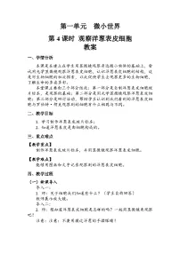教科版 (2017)六年级上册4.观察洋葱表皮细胞教案及反思