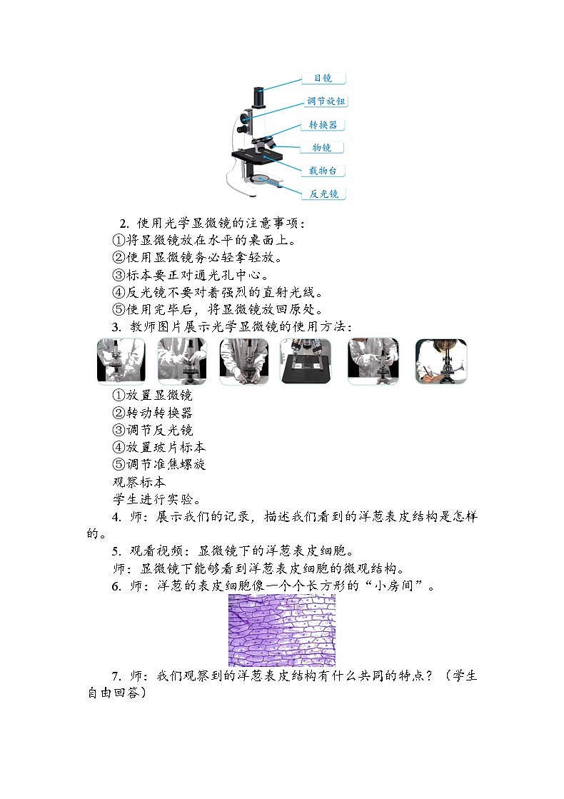 六年级上册科学6.1.4 观察洋葱表皮细胞 教案第3页
