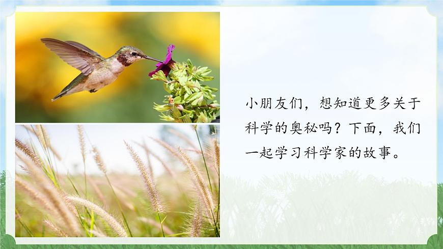 新蘇教版一年級(jí)上冊(cè)1小小科學(xué)家（課件）B第6頁(yè)