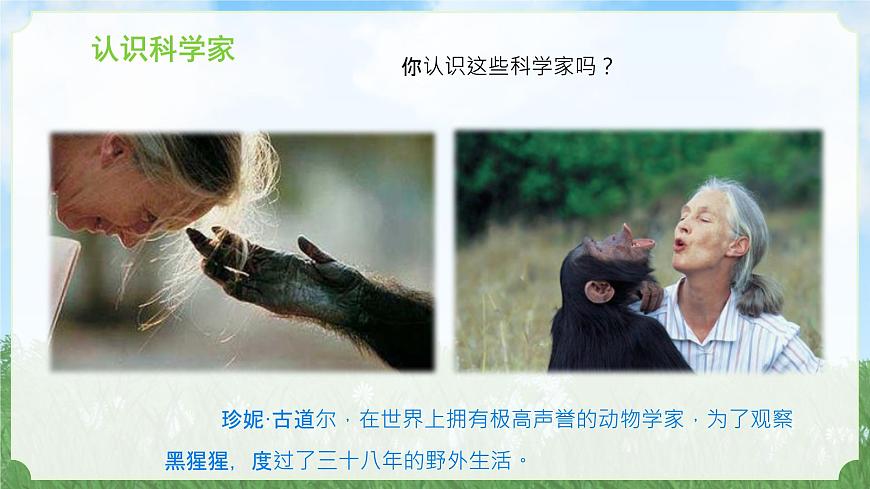 新蘇教版一年級(jí)上冊(cè)1小小科學(xué)家（課件）B第7頁(yè)