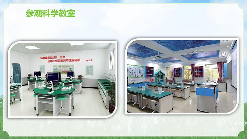 新苏教版一年级上册3上好科学课(课件)A第4页
