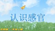 小学科学苏教版 (2017)一年级上册4.认识感官课文配套ppt课件