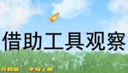 小学科学苏教版 (2017)一年级上册6.借助工具观察授课ppt课件