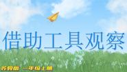 苏教版 (2017)一年级上册6.借助工具观察授课课件ppt