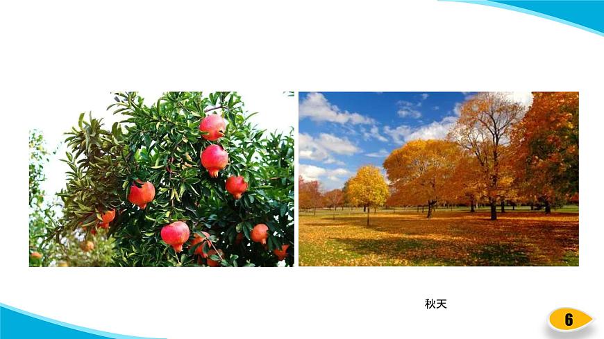 蘇教版科學二年級上冊-3-四季的天氣-PPT課件D第6頁