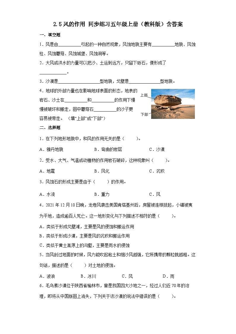 2.5风的作用(同步练习)五年级上册科学教科版第1页
