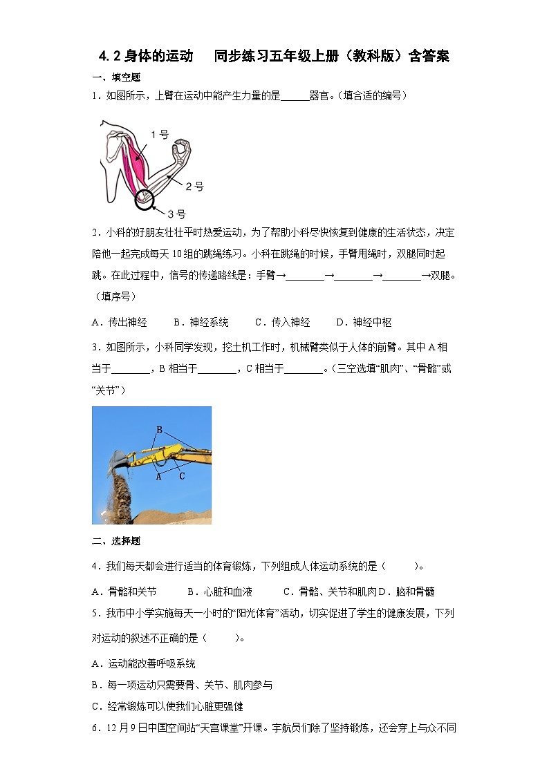 4.2身体的运动(同步练习)五年级上册科学教科版第1页