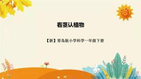小学科学青岛版 (六三制2017)一年级下册11 看茎认植物课前预习ppt课件