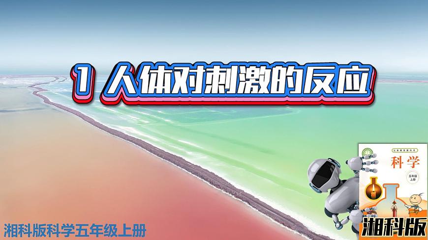 新版湘科版科學(xué)五年級(jí)上冊(cè)(第一單元我們的腦)1人體對(duì)刺激的反應(yīng)PPT課件第1頁(yè)