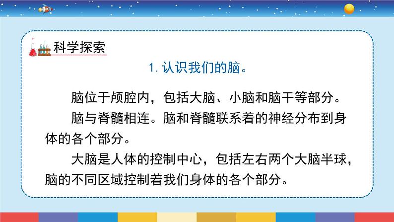 教科版五年级科学上册 4.4《身体的“总指挥”》教学PPT第4页