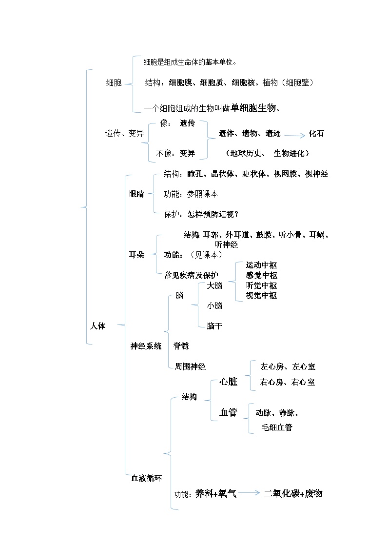 生命科学复习提纲