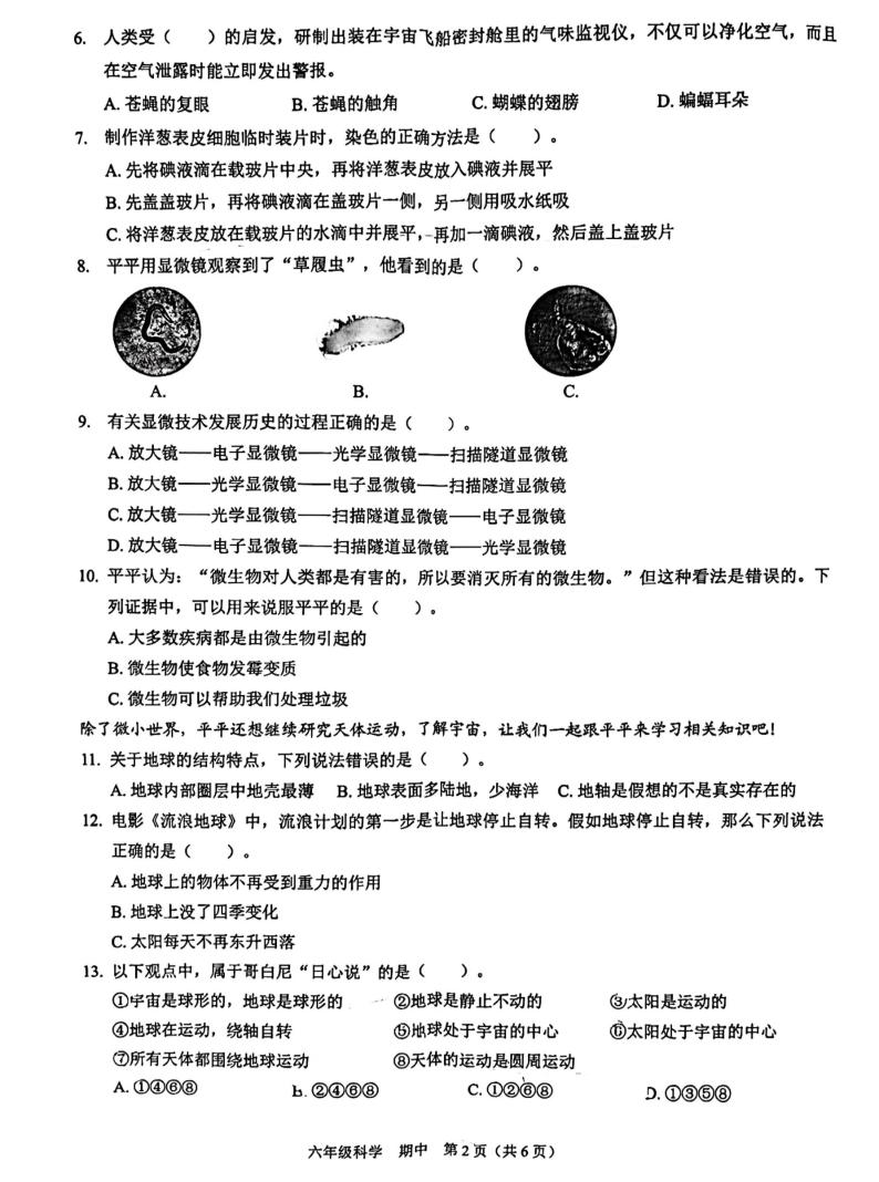 广东省深圳市龙岗区南湾实验学校2023-2024学年六年级上学期科学期中考试02