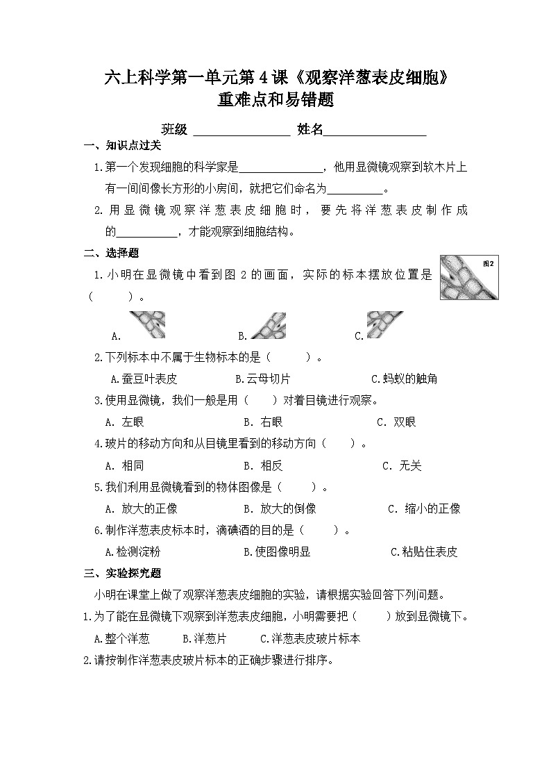 1.5《观察更多的生物细胞》家庭作业(同步练习)六年级上册科学教科版第1页