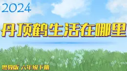 （2024）粤教版科学六年级下册-13《丹顶鹤生活在哪里》PPT课件