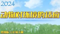 小学科学粤教粤科版 (2017)六年级下册15 动物对环境的适应评课课件ppt