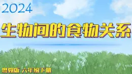 （2024）粤教版科学六年级下册-16《生物间的食物关系》PPT课件