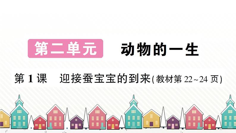 教科版(2017秋)科学三年级下册 第二单元 第一课 迎接蚕宝宝的到来习题课件第1页