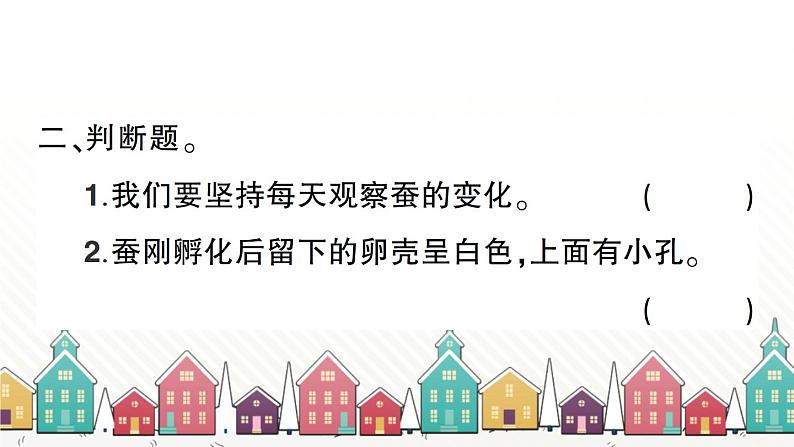教科版(2017秋)科学三年级下册 第二单元 第一课 迎接蚕宝宝的到来习题课件第3页