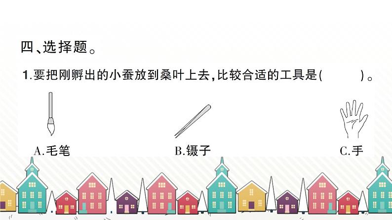 教科版(2017秋)科学三年级下册 第二单元 第一课 迎接蚕宝宝的到来习题课件第6页