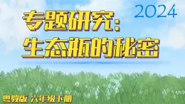 （2024）粤教版科学六年级下册-18《专题研究：生态瓶的秘密》PPT课件