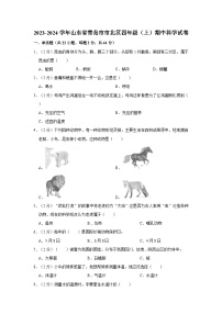 山东省青岛市市北区2023-2024学年四年级上学期期中科学试卷