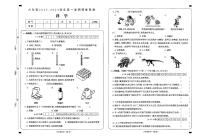 山西省大同地区2023-2024学年六年级上学期期中课堂观测科学试卷