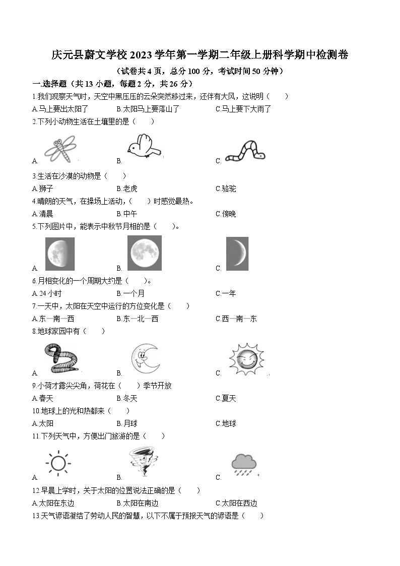 2023-2024学年浙江省丽水市庆元县蔚文学校教科版二年级上册期中考试科学试卷(无答案)