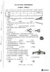 广东省深圳市龙岗区2023-2024学年六年级上学期11月月考科学试题