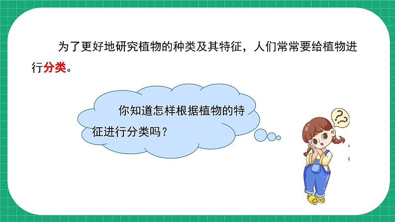 冀教版小学科学五年级下册 11.种类繁多的植物 课件第5页