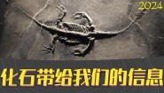 小学科学湘科版 (2017)六年级下册1 化石带给我们的信息教案配套课件ppt