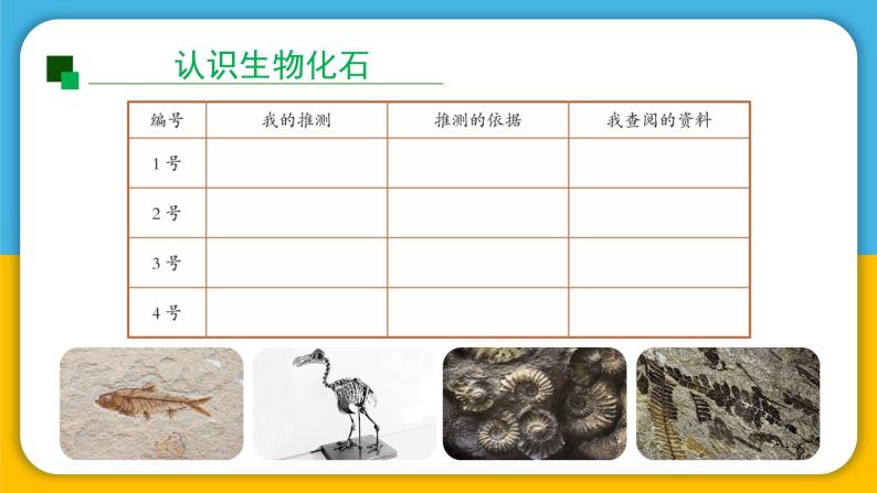 （2024）湘科版科学六年级下册-2-1《化石带给我们的信息》PPT课件06