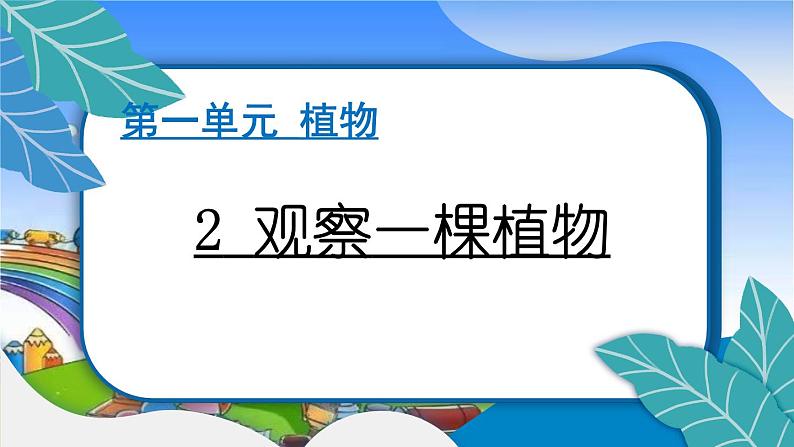 教科版(2017秋)小学科学一年级上册 1.2 观察一棵植物 作业课件第1页