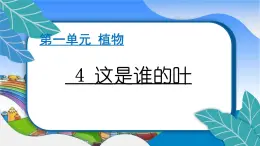 教科版（2017秋）小学科学一年级上册 1.4 这是谁的叶 作业课件