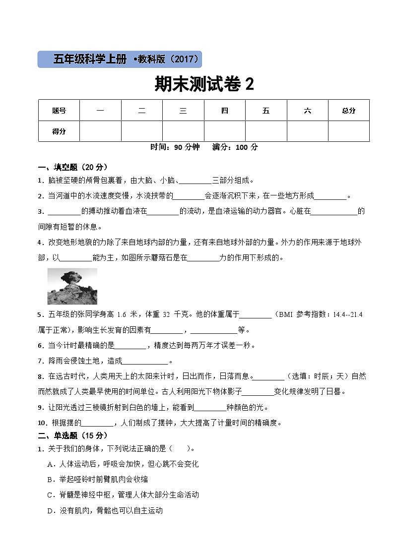 教科版(2017)科学五年级上期末检测卷2第1页