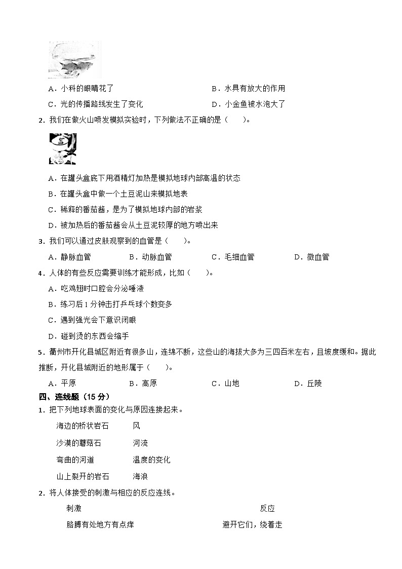教科版(2017)科学五年级上期末检测卷402