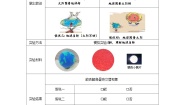 小学科学教科版 (2017)六年级上册2.昼夜交替现象示范课ppt课件