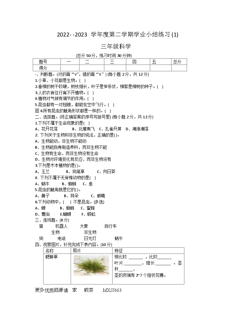 35，山西省忻州市忻府区人才小学校 2022-2023学年三年级下学期3月月考科学试题