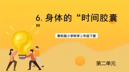 教科版科学二下 2.6《身体的“时间胶囊”》课件