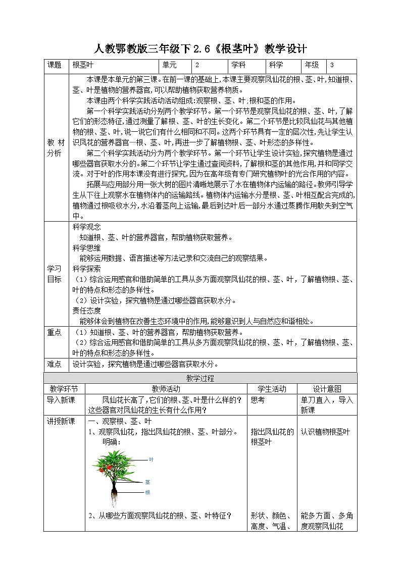 【核心素养目标】2.6《根茎叶》教案第1页